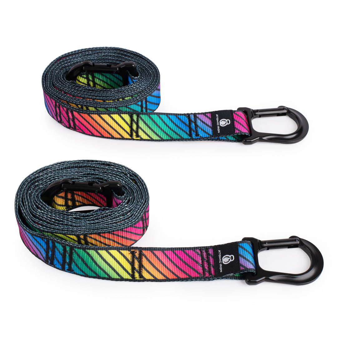 Gymnastic Ring Straps with Carabiners (Rainbow)