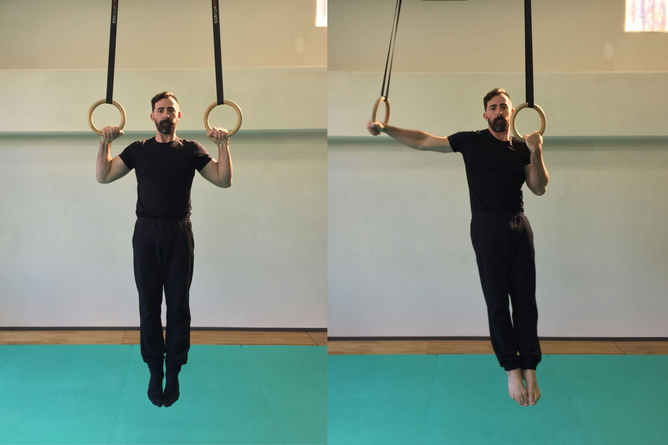 6 Science‑Backed Reasons Gymnastic Rings Transform Strength, Mobility ...
