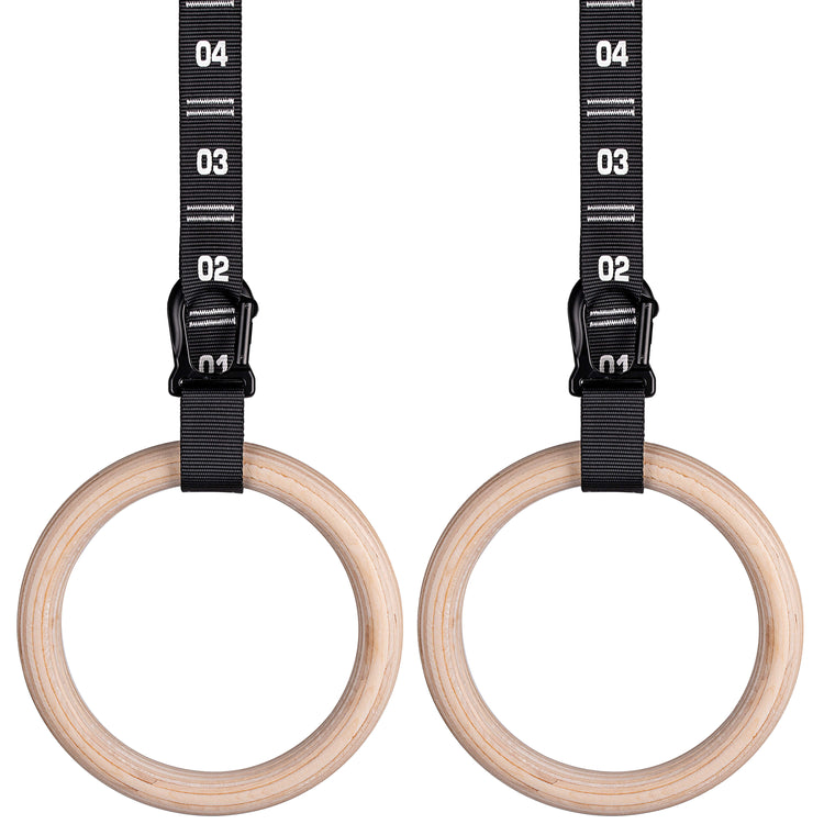 Atomic Iron calisthenics rings with carabiner numbered straps